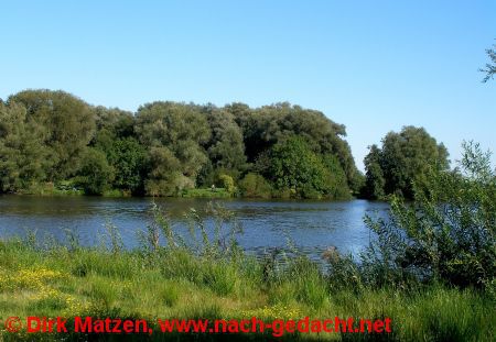 Finkenwerder, Naturschutzgebiet Finkenwerder Sderelbe