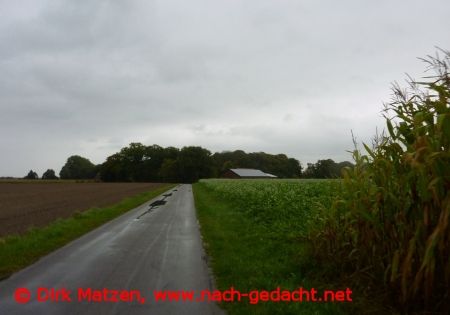 Radweg an Maisfeldern