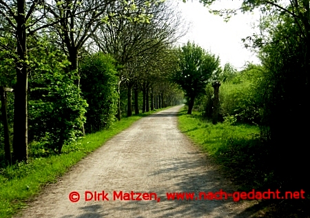 RuhrtalRadweg Alstaden