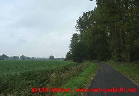 Mnsterland Landschaft