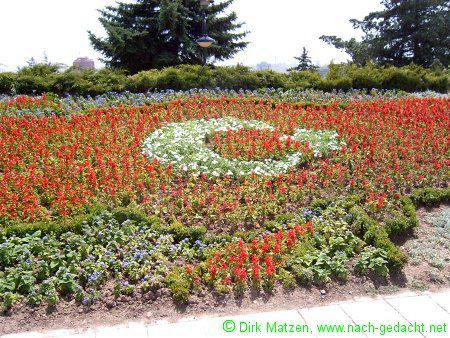 Blumen, in Form der Trkei gepflanzt