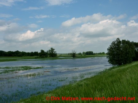 Hochwasser an der Oder